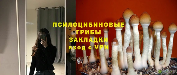 кокс Алзамай