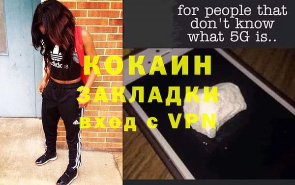 ГАЛЛЮЦИНОГЕННЫЕ ГРИБЫ Весьегонск