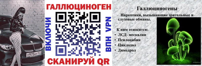 Псилоцибиновые грибы Psilocybe Ветлуга